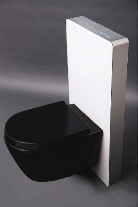 WC-Komplettpaket 39: WC B-8030R Schwarz