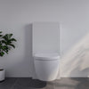 WC-Komplettset 41: WC NT2039 Weiß