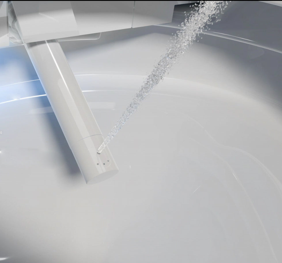 Dusch WC Komplettset 540 PRO mit Geberit Duofix Vorwandelement
