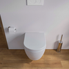 Wand-Hänge WC Nano Compact NT2038